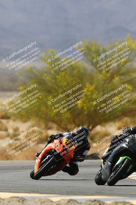 media/Apr-10-2022-SoCal Trackdays (Sun) [[f104b12566]]/Turn 5 Tree of Life (1040am)/